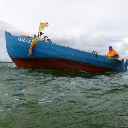 Marsz Śledzia